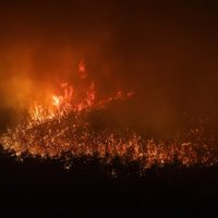 Incendios en Patagonia: el fuego arrasó más de 60 mil hectáreas en apenas seis meses