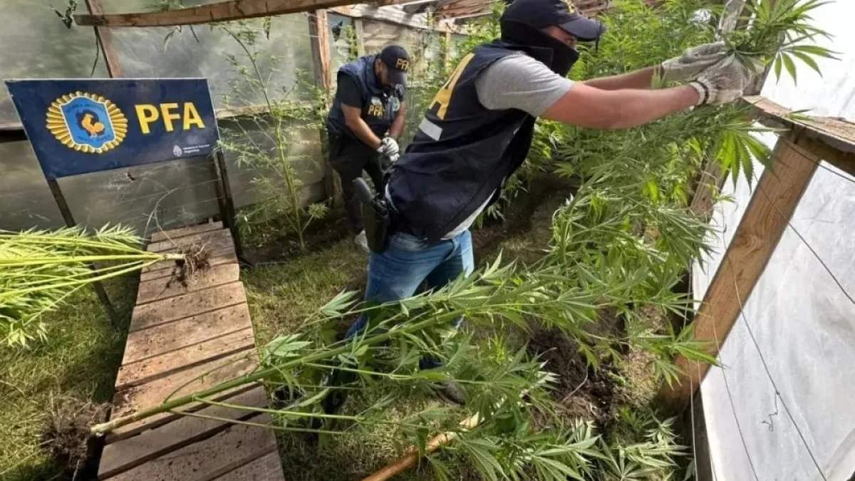 Operativo antidroga. Fuente: (Policía Federal)