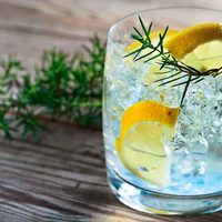 La ginebra, la bebida más requerida en las barras