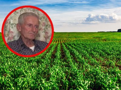 Agricultor de 86 años rechaza 15 millones de dólares para instalar un centro de datos en su granja