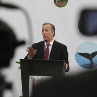 Clave, frenar inseguridad para que turistas visiten México: Meade