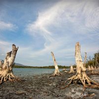Enfrentará el planeta "territorio desconocido" por cambio climático, advierte ONU
