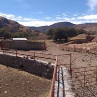 Aseguran otros cuatro ranchos a César Duarte; hallan animales exóticos