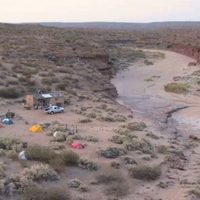 El CONICET halló restos de cuatro dinosaurios que datan de 100 millones de años en Neuquén