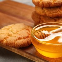 Si tenés invitados sorpresa en la merienda, hacé estas galletitas de miel económicas y súper rendidoras