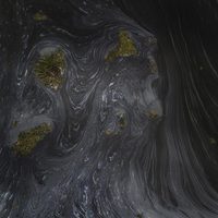 La lucha de los pescadores en el Golfo de México contra Pemex