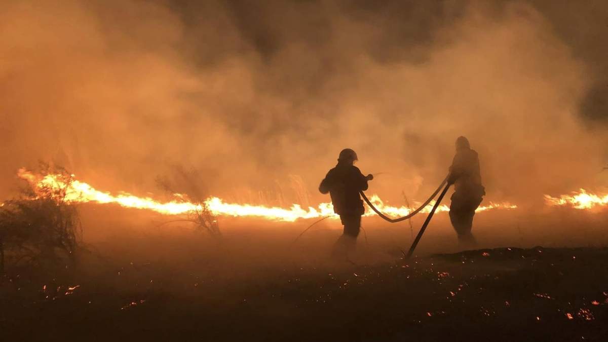 Bomberos Voluntarios de Senillosa intentan sofocar un incendio en la localidad. Fuente: (Facebook)
