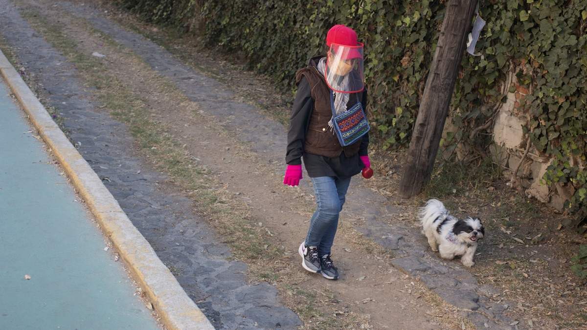 Una persona pasea un perro en la Ciudad de México, en una imagen de las primeras semanas de la pandemia