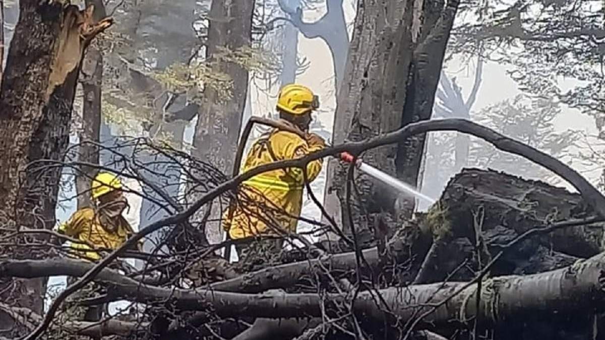 El gobierno provincial decidió reconocer a los brigadistas del Sistema Provincial del Manejo del Fuego. Fuente: (Agente Valeria Guzmán)