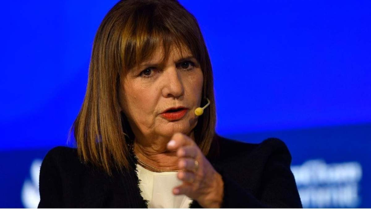 Patricia Bullrich defendió la decisión del Gobierno. Fuente: (X)