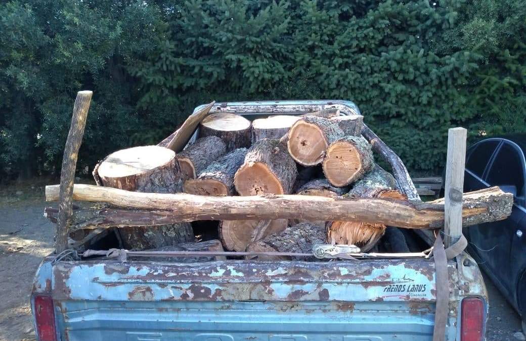 Los árboles talados sobre la camioneta.