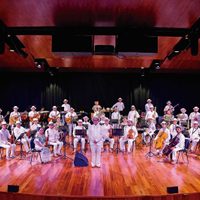 Siempre apoyo oficial, más allá de partidos: Orquesta Típica Yukalpéten, 81 años