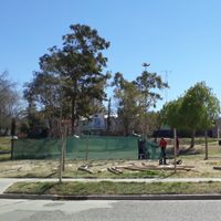 Residentes de Santa Genoveva detuvieron a un ladrón y lo golpearon