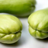 Investigadores de la UNAM crean 'súper chayote” con potente agente anticancerígeno