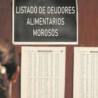 El registro provincial sumó 1.649 inscripciones de deudores alimentarios y actualizó sus bajas