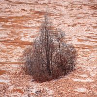Un lodazal tóxico en la Sierra de Álvarez