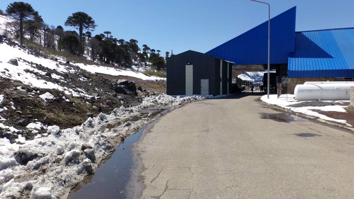 Paso Pino Hachado. Fuente: (Twitter)