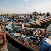 Al fin una esperanza para millones al borde de la muerte por hambruna en Yemen