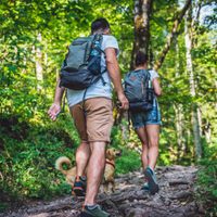 Ecoturismo en la Patagonia: 5 destinos imperdibles para conectar con la naturaleza