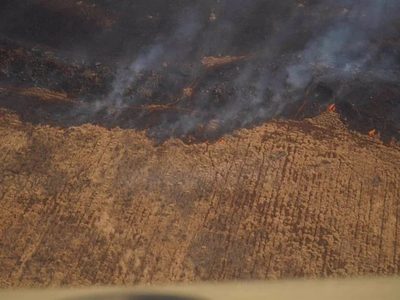 Tras incendios, Biden decreta zona de desastre en Hawái