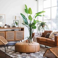 Transformá tu casa con la decoración de la abuela: muebles rústicos, papel pintado y mimbre que están de regreso