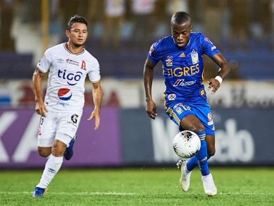 ¿Corre en peligro la continuidad de Tuca Ferreti en Tigres?