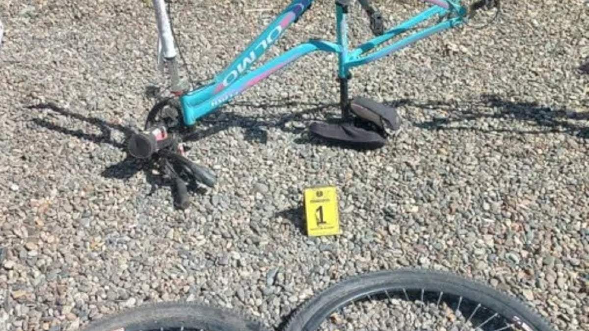 Dos bicicletas robadas eran llevadas en una camioneta. Fuente: (Policía Neuquén)