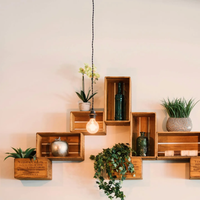 No tires las lamparitas quemadas: mirá esta hermosa idea para decorar con tus plantas de agua