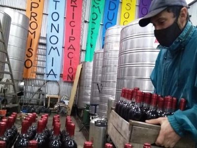 Los vinos de la Costa rioplatense, un producto con identidad