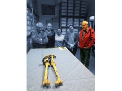 Murió José Concepción Jiménez, experto en evolución humana