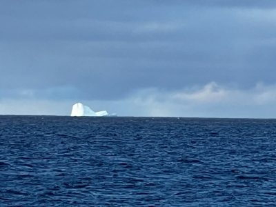 Alerta marítima en Tierra del Fuego, tras la aparición de un enorme iceberg