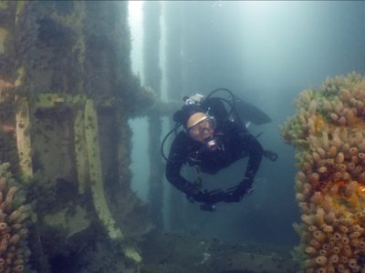 Proyectan un circuito de buceo en homenaje a Malvinas en Las Grutas