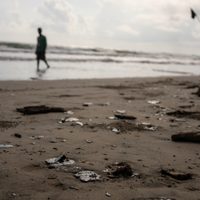 Derrame de crudo en el Golfo y cambio de hábitos hunden a pescaderías; reportan caída de hasta 40%