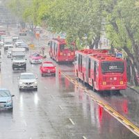 Metrobús: viacrucis para atropellados y maquillaje de decesos