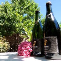 Sidra neuquina Premium ahora llega en lata