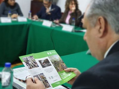 Gobierno capitalino sembrará 100 mil árboles en la avenida Chapultepec