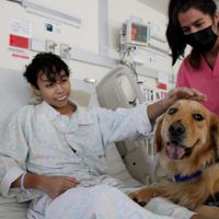 Estos son lo beneficios de las “Terapias Asistidas con Animales” de la Sedesa