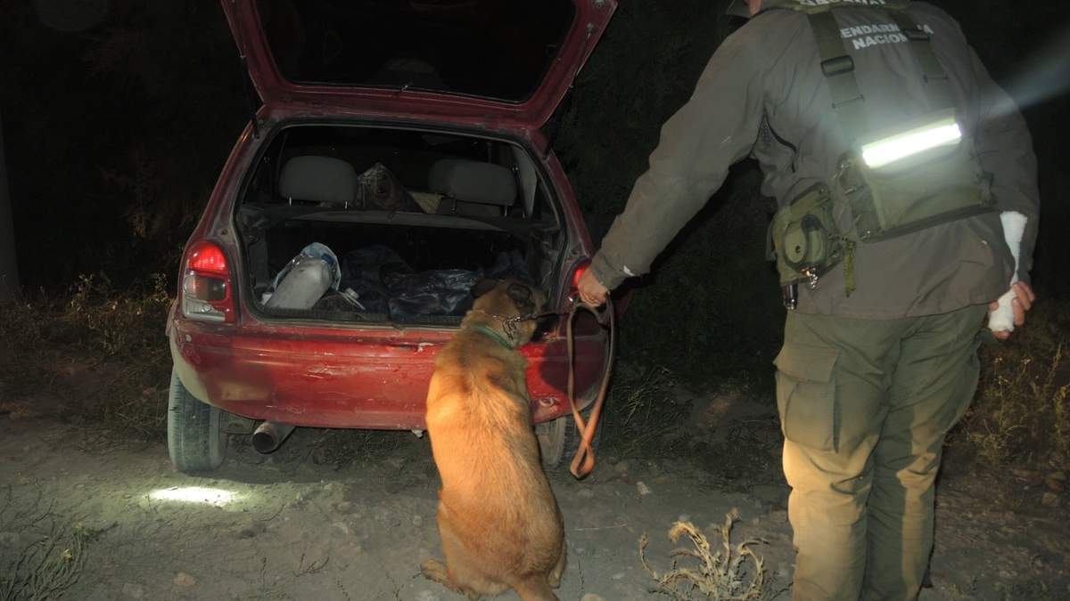El perro Dax encontró los paquetes en el auto. Fuente: (X)