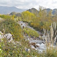 El lugar ideal para descansar y conocer más sobre San Martín
