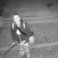 Captan a extranjero arrojando ácido a perros en Oaxaca (VIDEO)