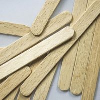 No lo vas a creer: mirá estas macetas súper chic que podés hacer con los palitos de helado que siempre tirás