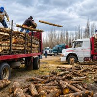 Neuquén acelera el reparto de leña y garrafas en el interior provincial