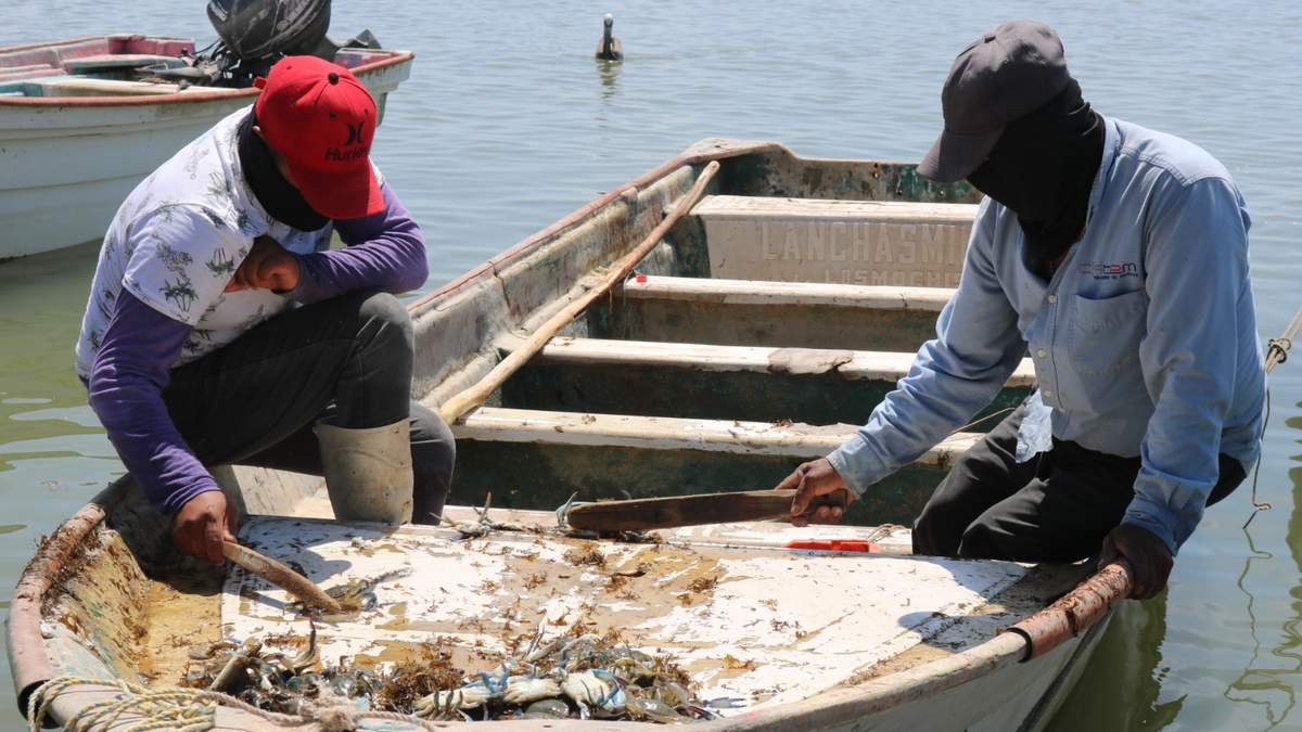 Pescadores en las bahías del norte de Sinaloa