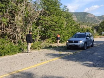 Personal de Vialidad Nacional realiza tareas de mantenimiento sobre la Ruta Nacional 40
