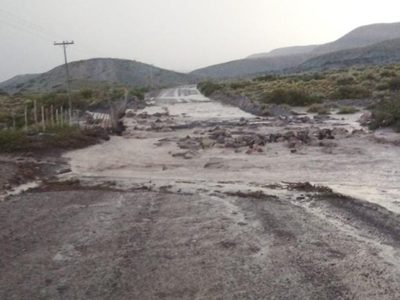 Inundaciones y cañadones desbordados dejó el paso de la tormenta eléctrica en el Norte Neuquino