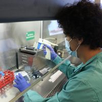 Dos nuevos casos de coronavirus y dos pacientes recuperados en Río Negro