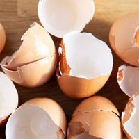 No tires las cáscaras de huevo: mirá cómo convertirlas en el suplemento vitamínico que tu cuerpo necesita