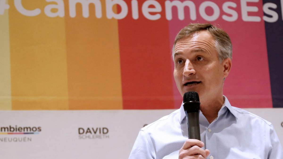 Schlereth no seguirá en la Cámara de Diputados de la Nación.