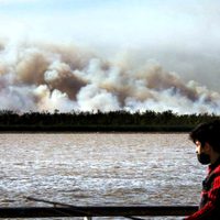Crecen las quejas y presiones por los incendios en el delta del Paraná: piden multas millonarias