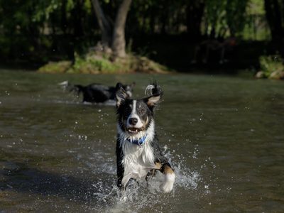 Clima en Neuquén: calor intenso y viento fuerte este lunes 19 de enero